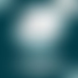 Welcome Bear's Cleaning Services, LLC