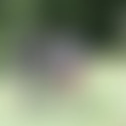 Chamber’s 48th Annual Hackers Tournament Held on July 12th 