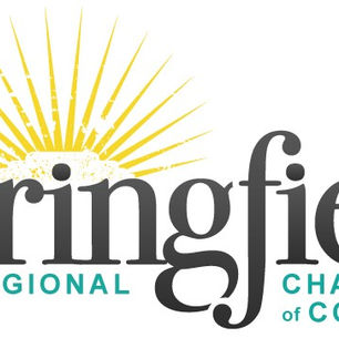SPRINGFIELD PROGRESS REPORTS