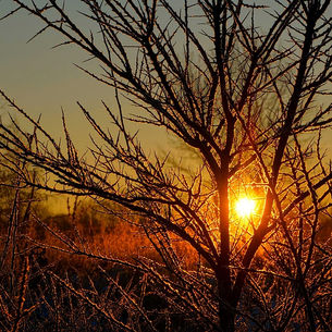 Reflections from the Director's Seat - A Letter of Gratitude