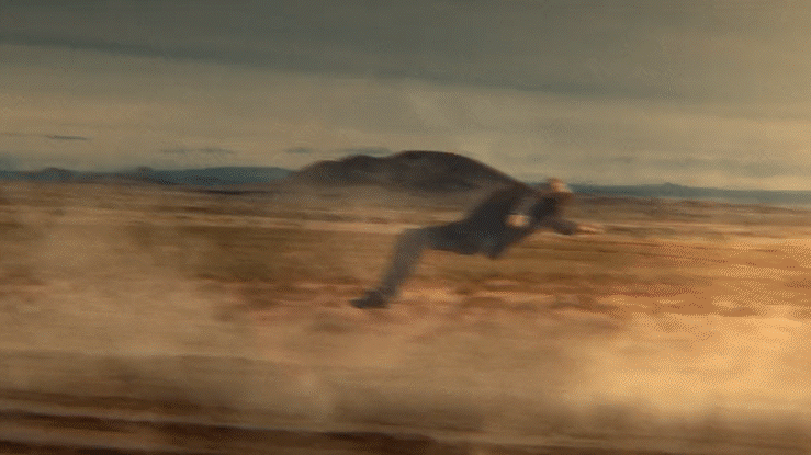 Rewild_01.gif