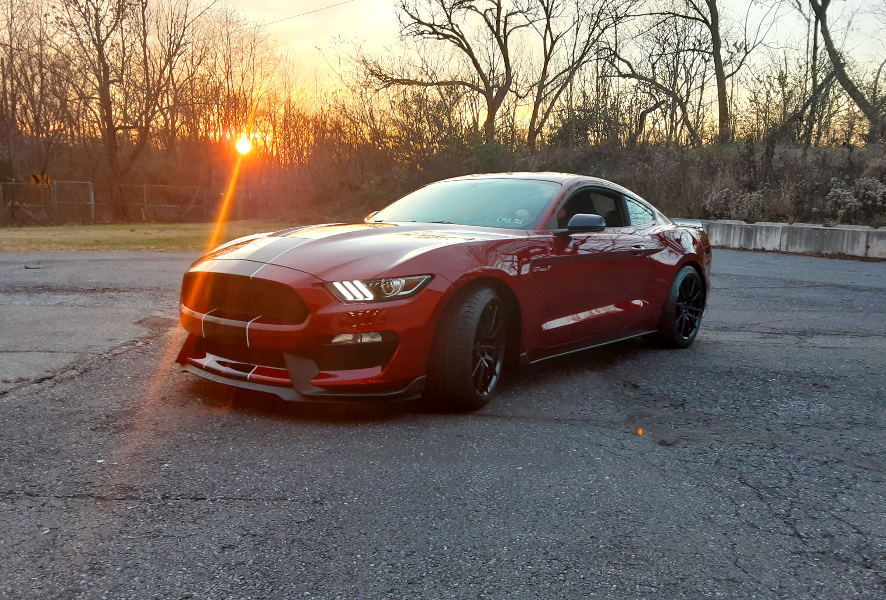 Shelby GT350 Paint Protection Flim
