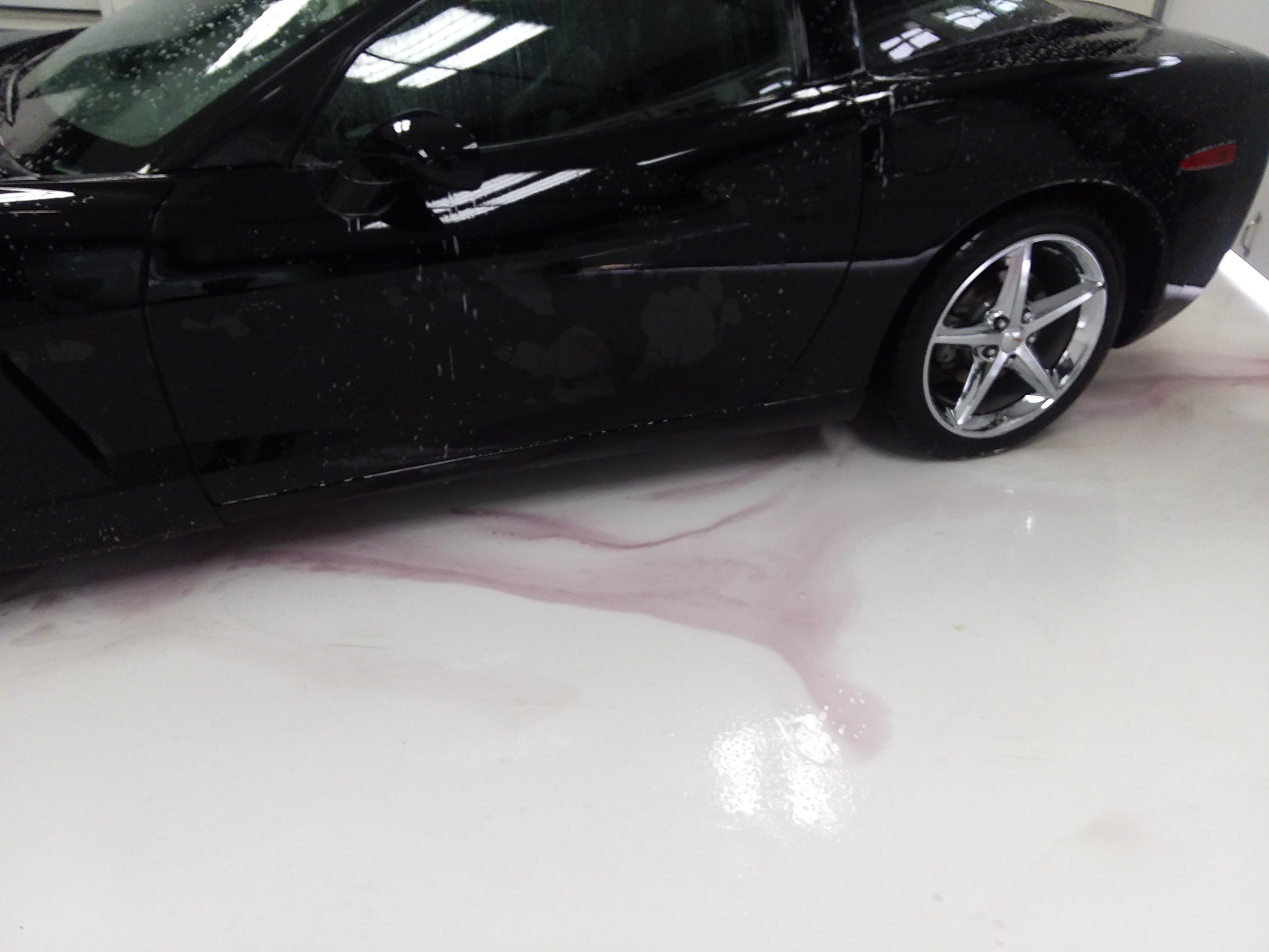 C6 Corvette During Decontamination
