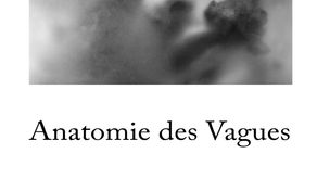 Anatomie des Vagues - Parution
