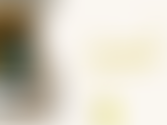 Organisation d'un séminaire en “mode pompier”