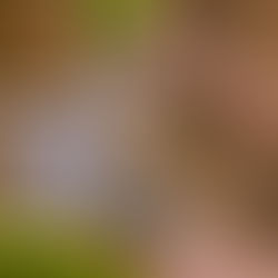 Diabetes 2 - Sjukvårdens metoder vs Hippocrates Wellness metoder