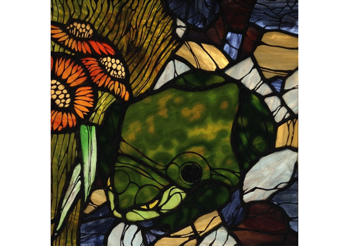 Hiding Toad