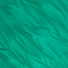 Pacific Sardine (Sardinops sagax)