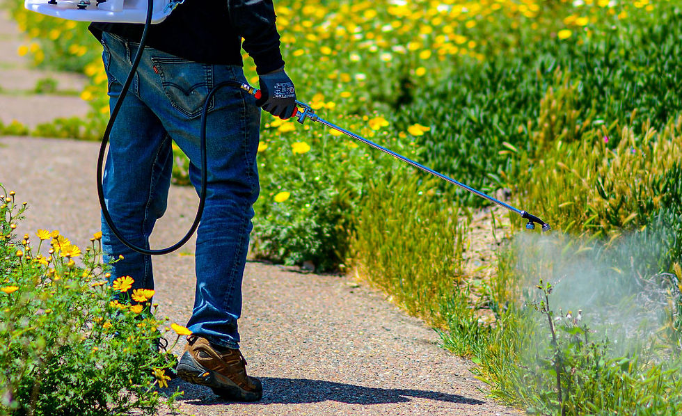 Worker wearing jeans and gloves uses a backpack sprayer to apply mosquito control spray along a path bordered by green plants and yellow flowers