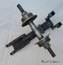 Haciendo-fierros-arriba