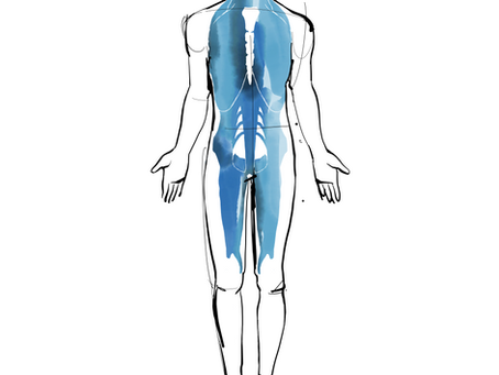 Body Wisdom: The Kidneys – Keepers of Our Deep Reserves