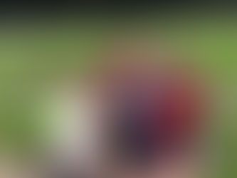 D1-Junioren erfolgreich in die Kreisliga-Relegation gestartet