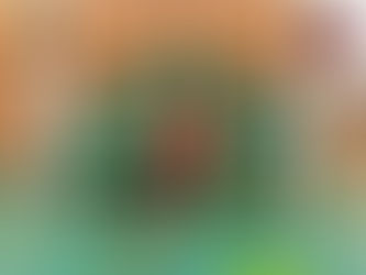 D2 – Junioren: Toller Start ins Jubiläumsjahr