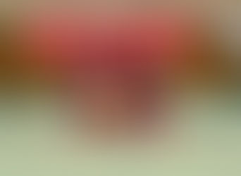 E3–Junioren: Hallenturnier beim FV Grünwinkel