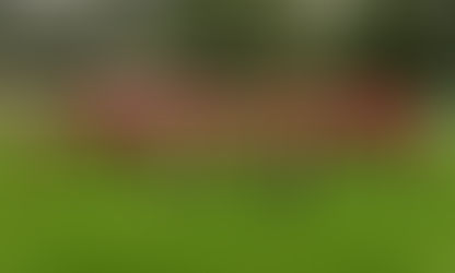 F1: Doppelheimspieltag mit neuen Trikots