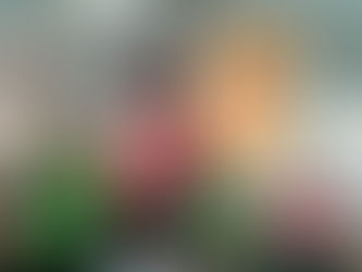 Adler ziehen ins Cup-Achtelfinale ein