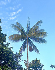20260405_061407.jpg