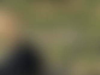 Areštuotas ekspremjero Palucko nekilnojamasis turtas