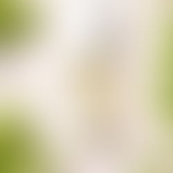 RINGANA hydro serum - Feuchtigkeit, die in der Haut ankommt (inkl. & 20€ Gutschein)