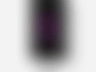 RINGANA Sport protein