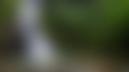 Cascada Del Diablo-Mogotes-Santader