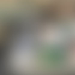 Blog 3