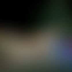 Self-Managed Tenant Permit Program