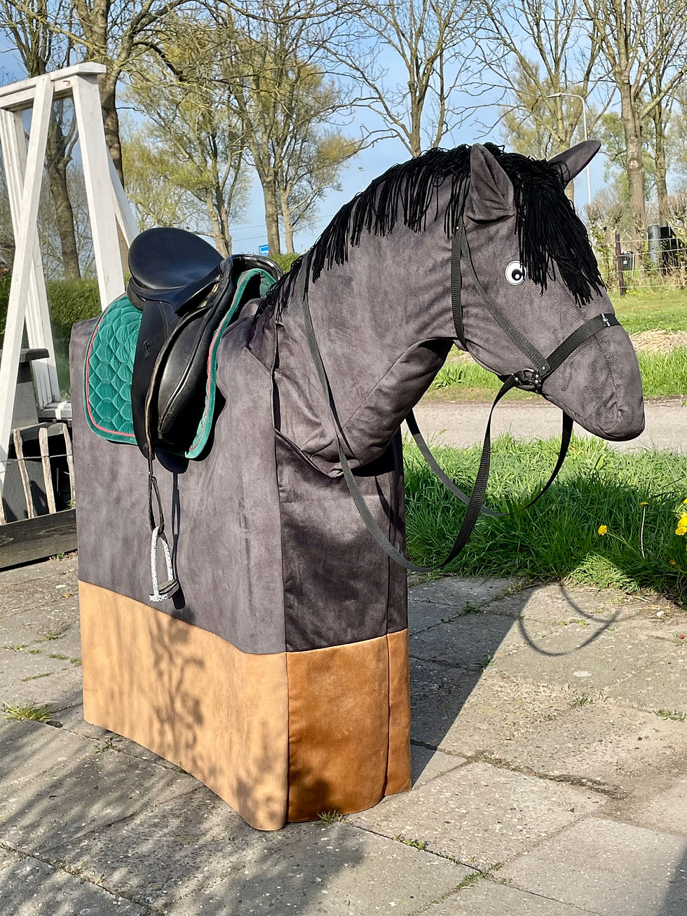 Maak kennis met Joker de paardensimulator