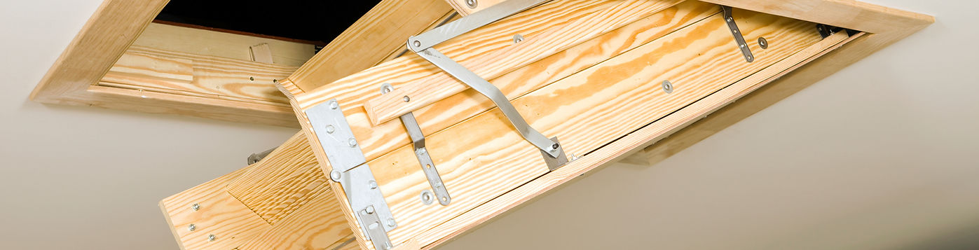 Attic Ladder Access