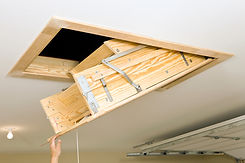 Opening Trap Door
