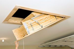 Opening Trap Door