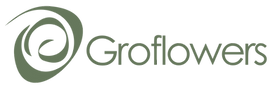 FINAL LOGO GROFLOWERS HORIZONTAL_edited_