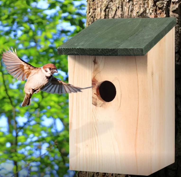Are you Aware? Our Natural World and Decorating Naturally Birdhouses Okanagan Falls