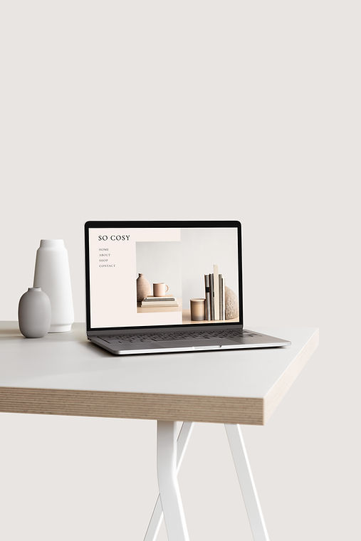 MOYO-MACBOOK23.jpg