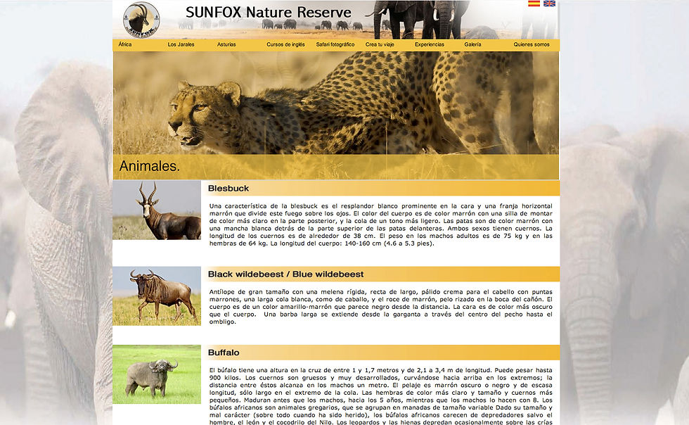 www.sunfox.es