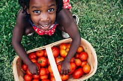 Child and abundance of tomatoes.jpeg