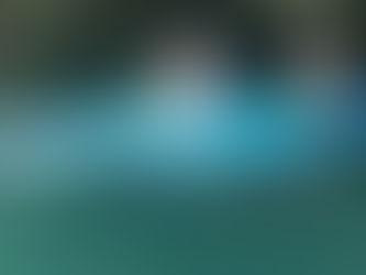 ８月５日のツアーの様子です！