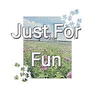 jigsaw-puzzle-252-pieces-front-69e962704