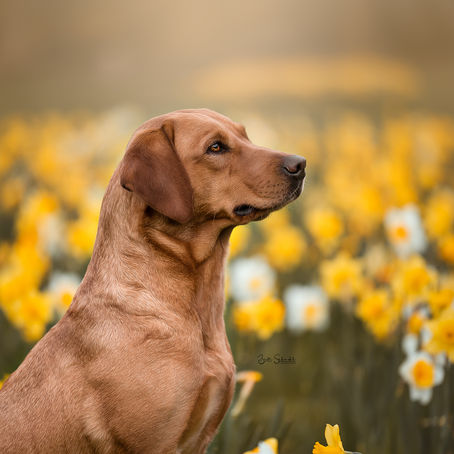 Get to know ya... Jody