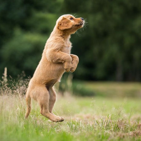 Ein guter Start......