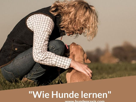 Lernverhalten - Teil 4