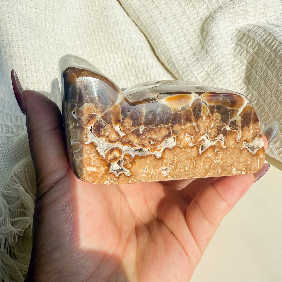 Thumbnail: Rare Orbicular Chocolate Calcite Freeform
