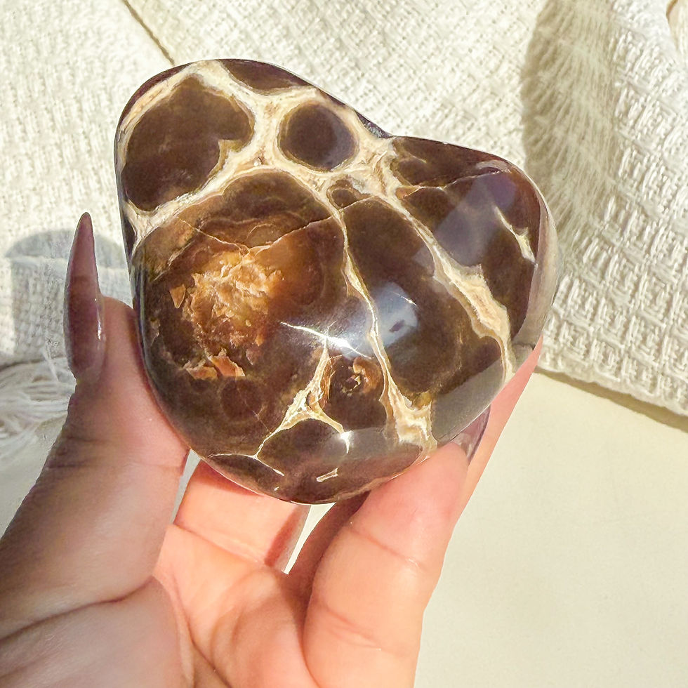 Thumbnail: Rare Orbicular Chocolate calcite