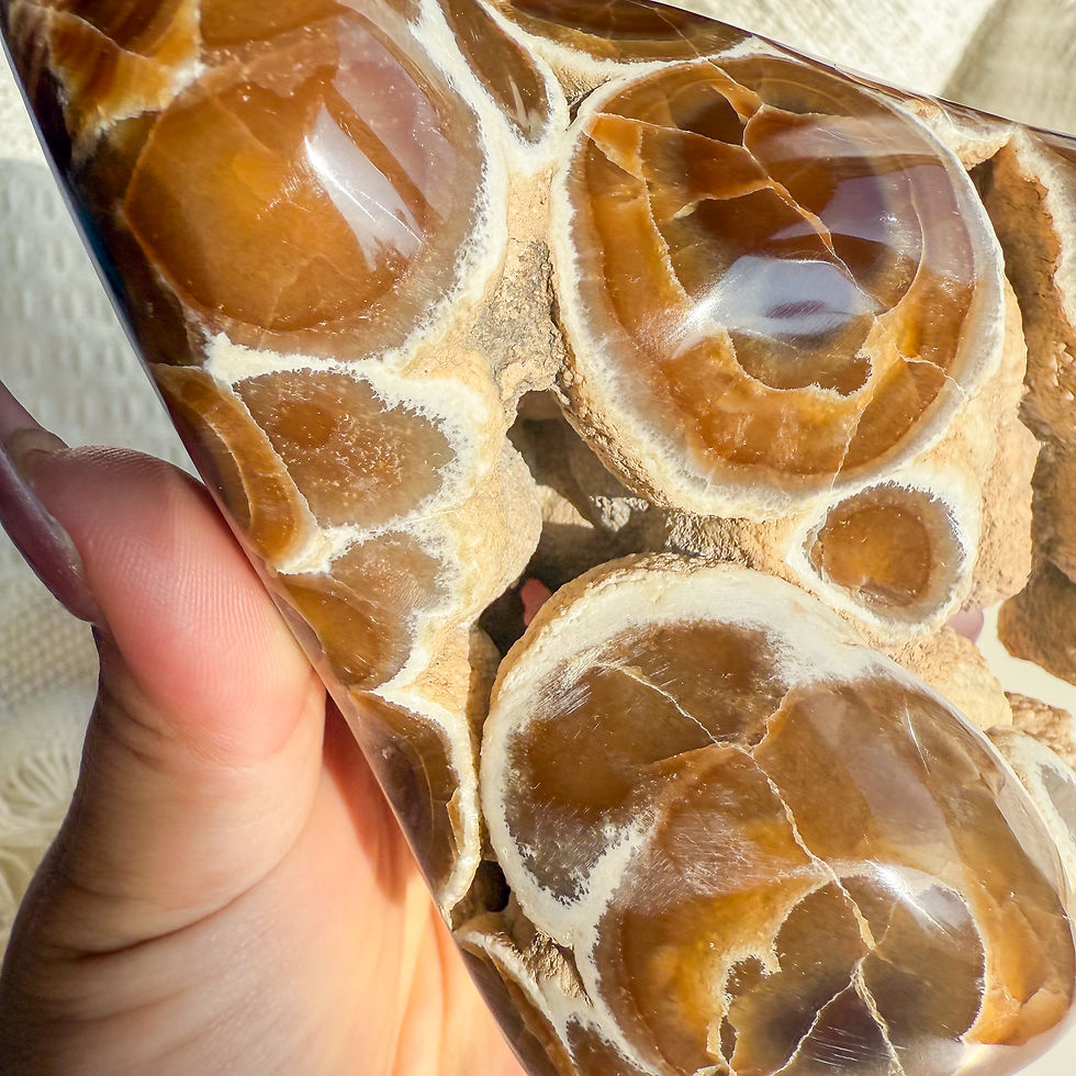 Thumbnail: Rare Orbicular Chocolate calcite