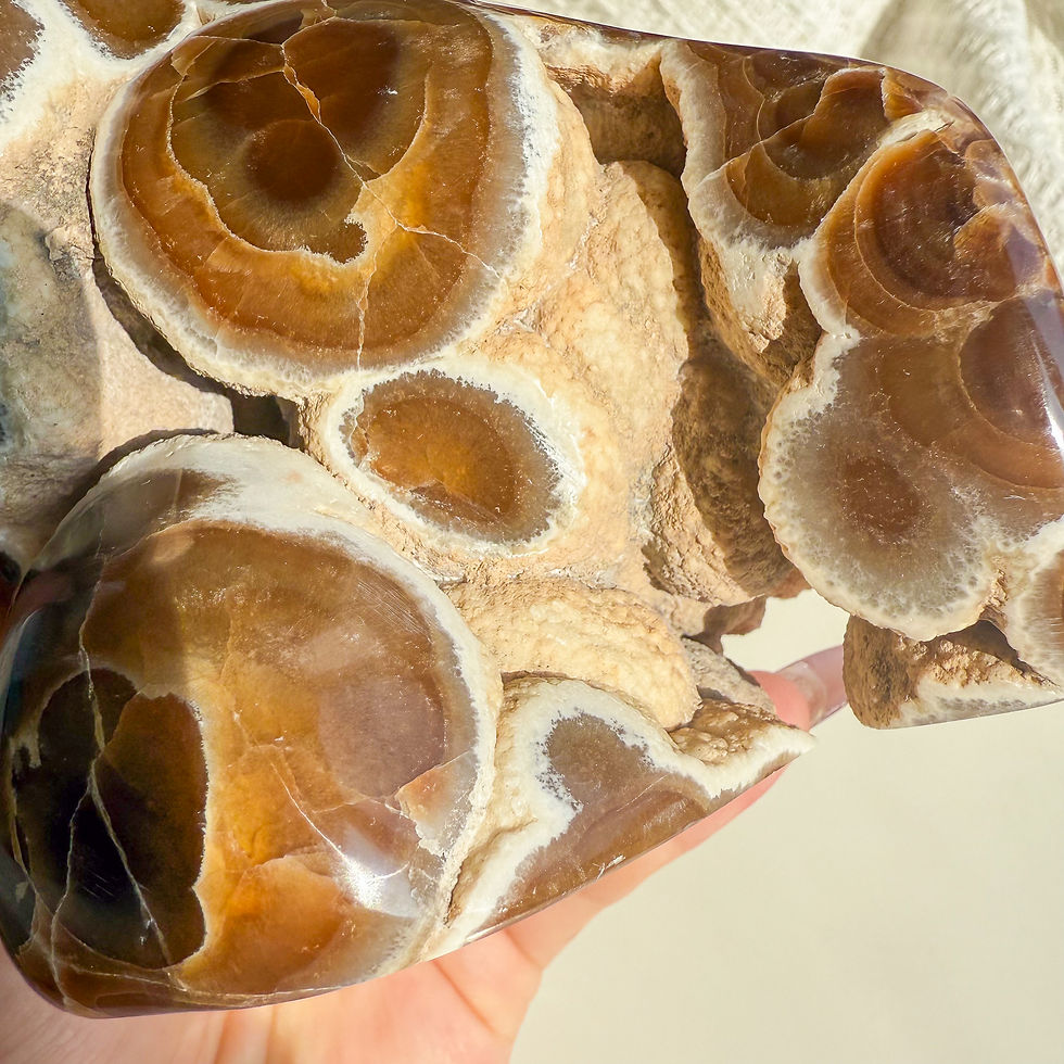 Thumbnail: Rare Orbicular Chocolate calcite