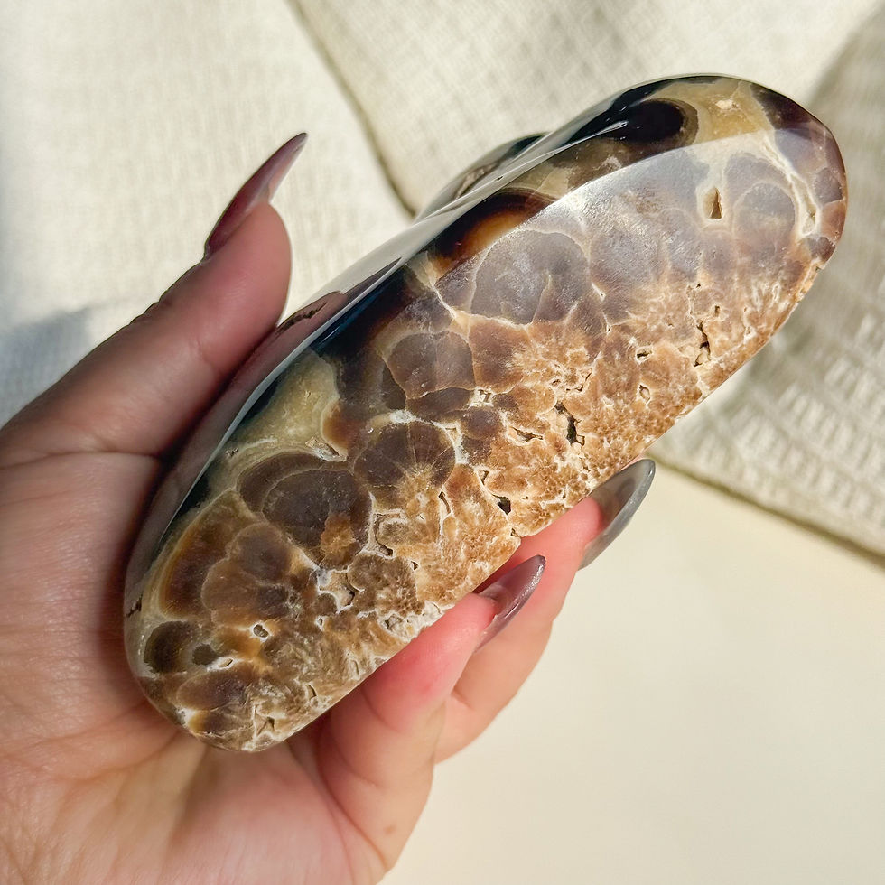 Thumbnail: Rare Orbicular Chocolate calcite