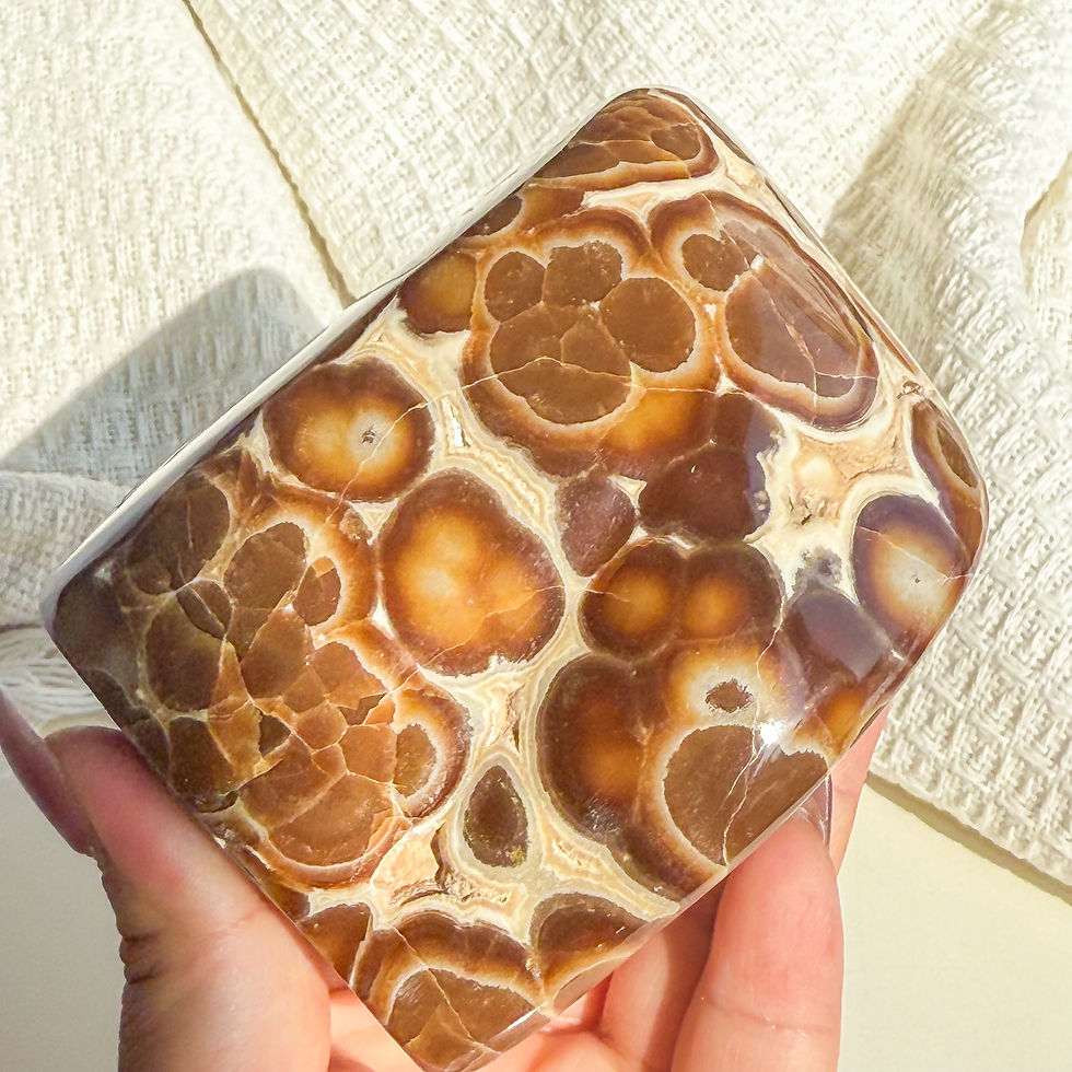 Thumbnail: Rare Orbicular Chocolate calcite