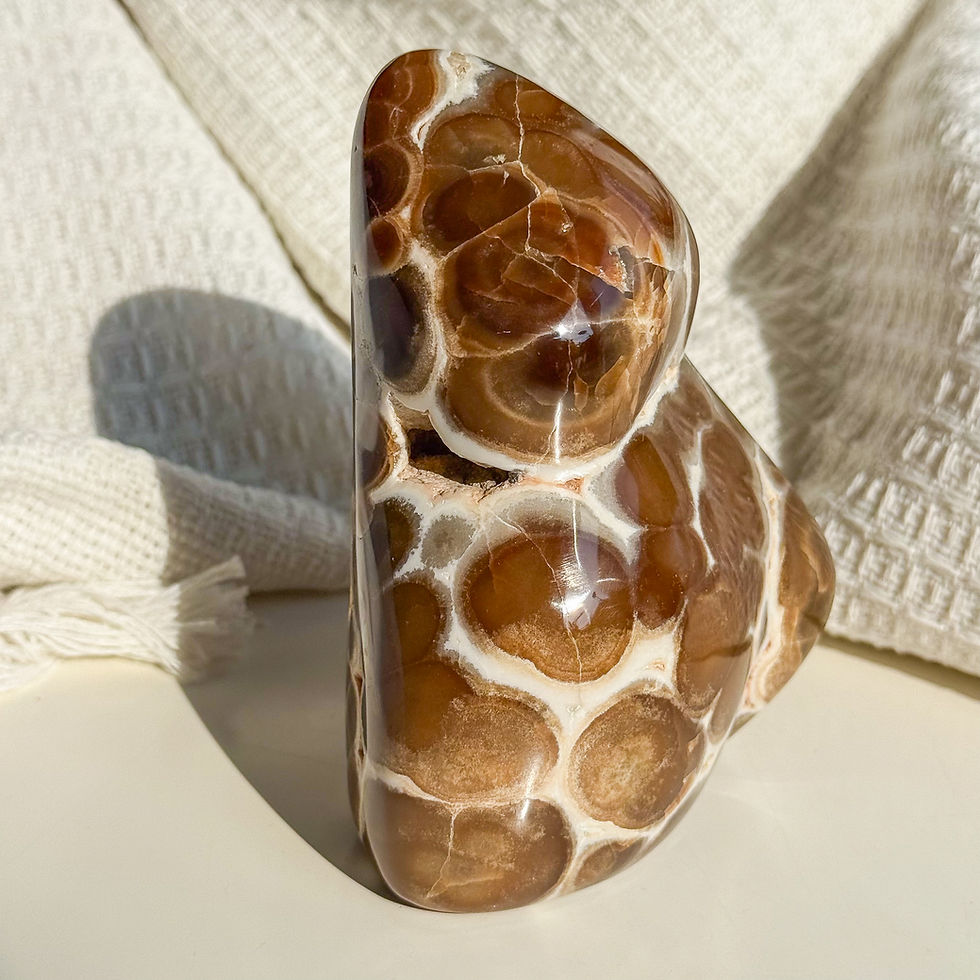 Thumbnail: Rare Orbicular Chocolate calcite