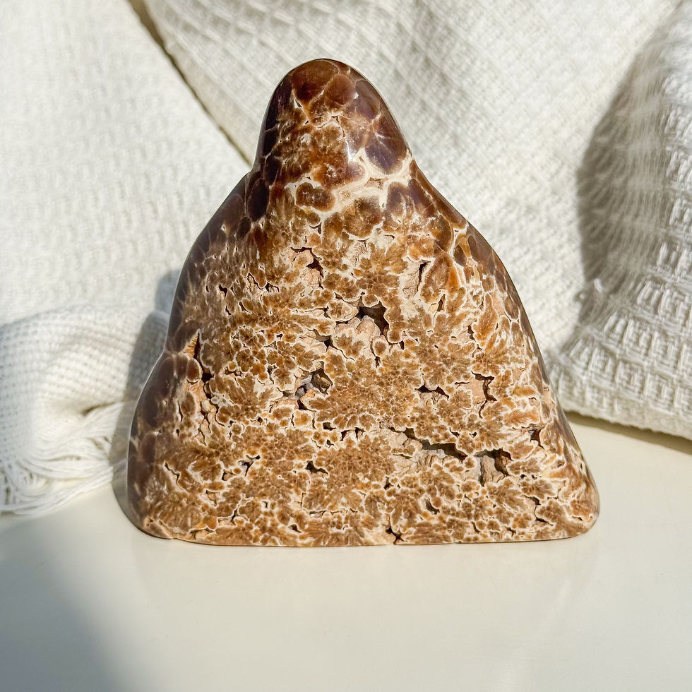 Thumbnail: Rare Orbicular Chocolate calcite