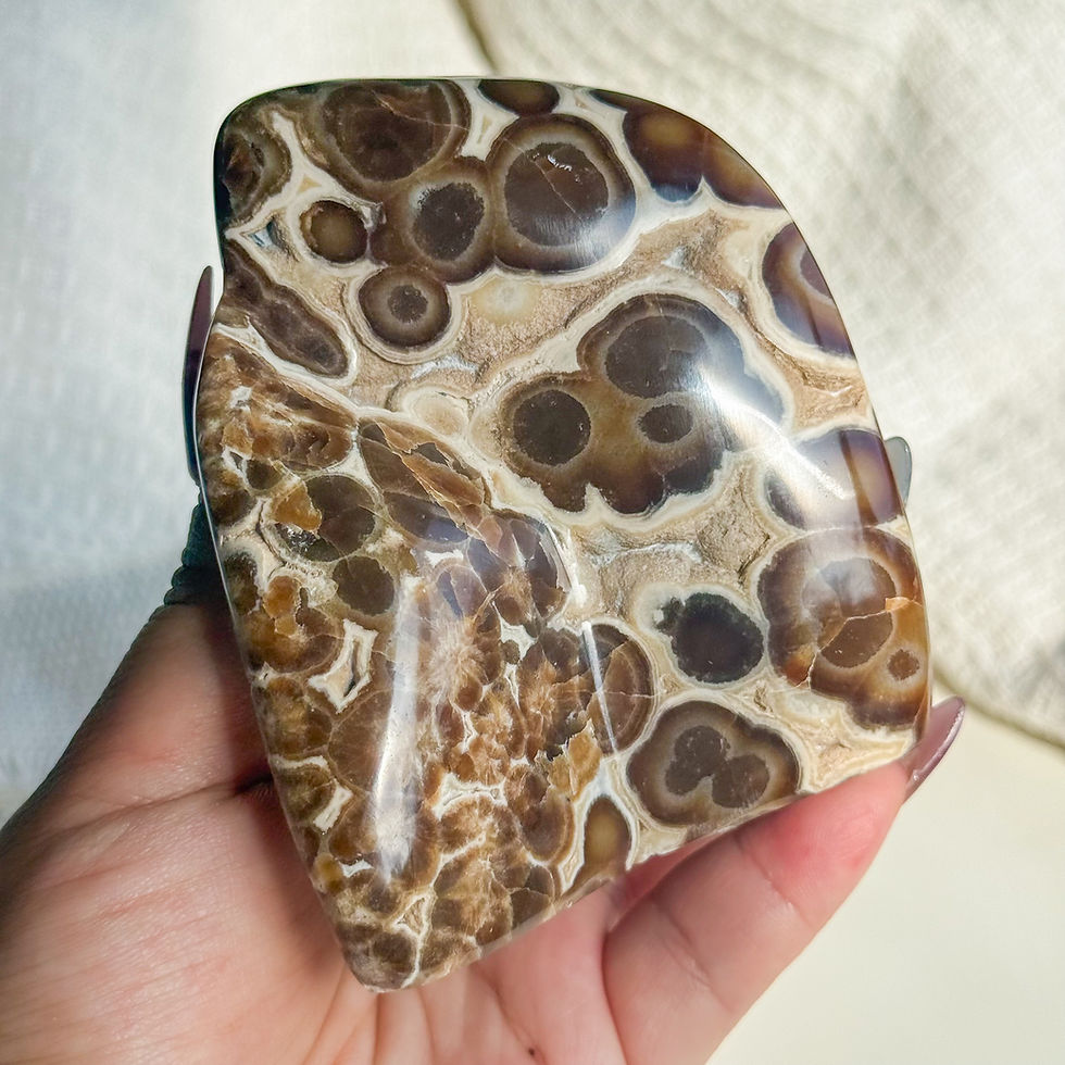 Thumbnail: Rare Orbicular Chocolate calcite